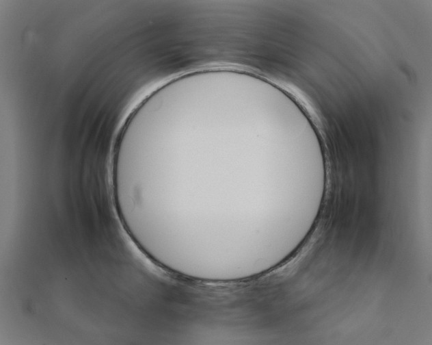 X0000111230910200907301243