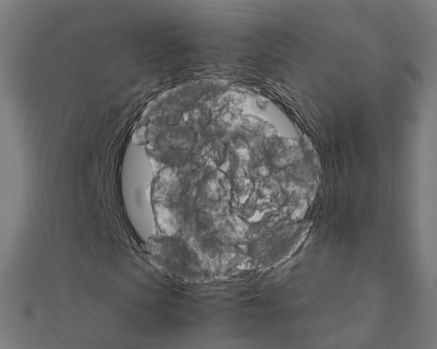 X0000111230913200907301243