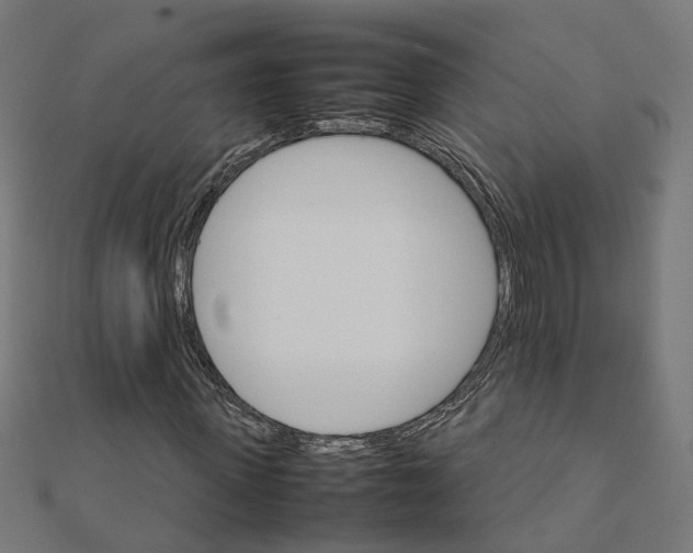 X0000111230915200907301243