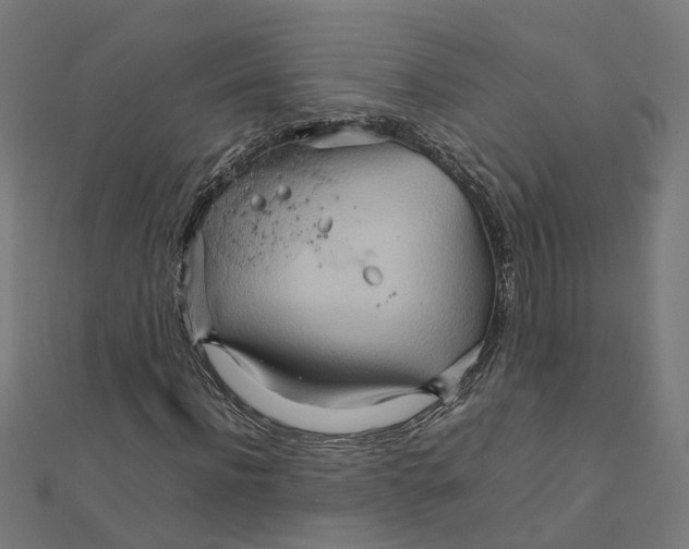 X0000111230916200907301243