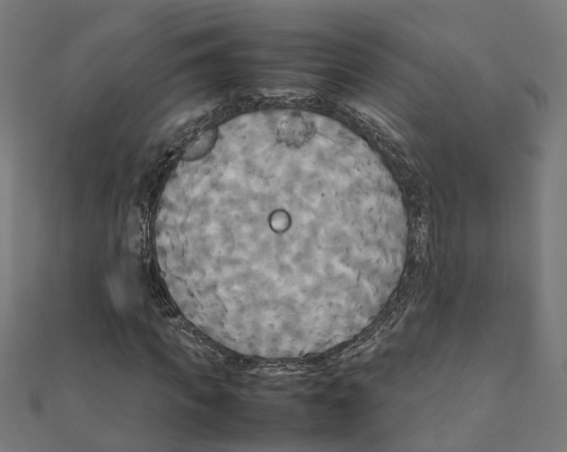 X0000111230917200907301243