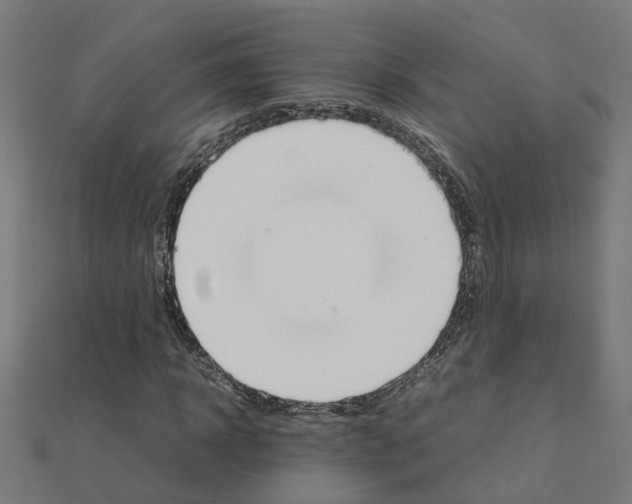 X0000111230918200907301243