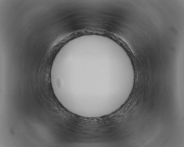 X0000111230919200907301243