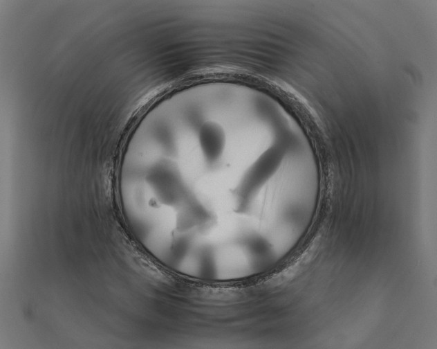 X0000111230921200907301243