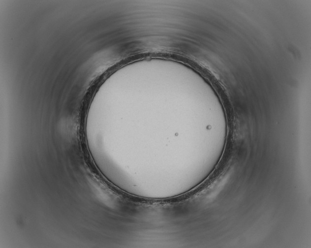 X0000111230922200907301243
