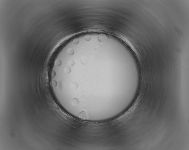 X0000111230923200907301243