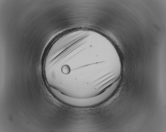 X0000111230924200907301243