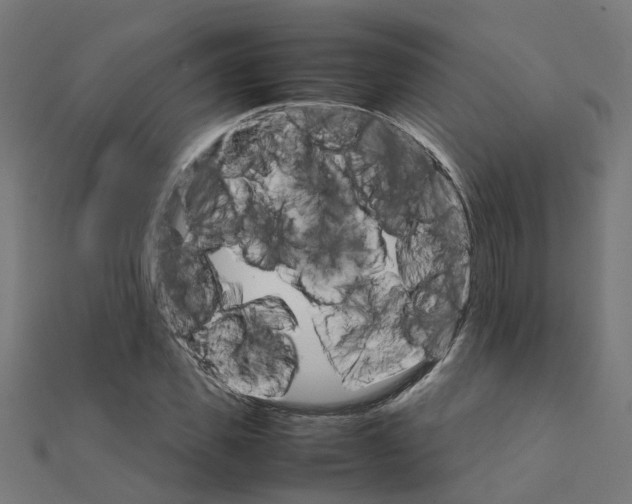 X0000111230925200907301243
