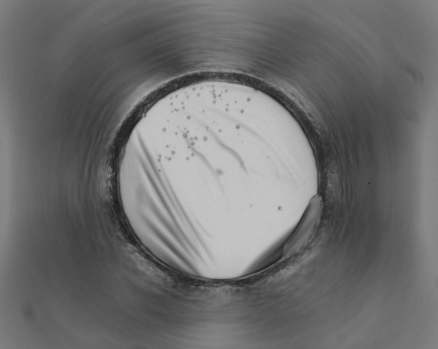 X0000111230926200907301243