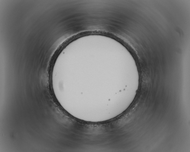 X0000111230927200907301243