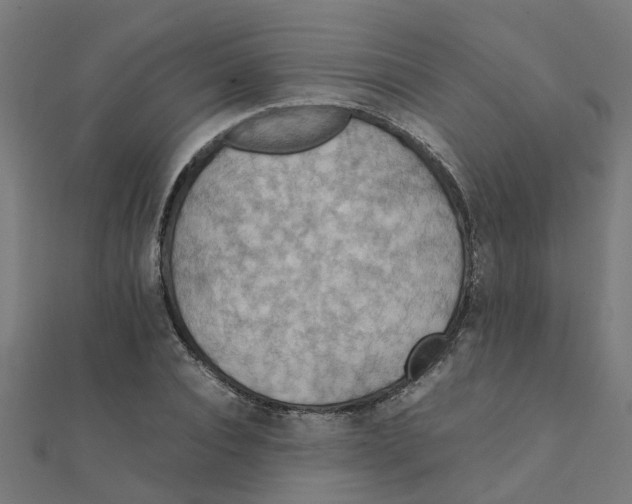 X0000111230928200907301243