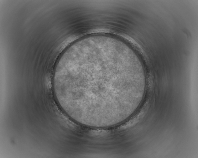 X0000111230929200907301243