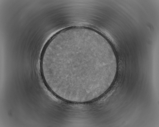 X0000111230932200907301243