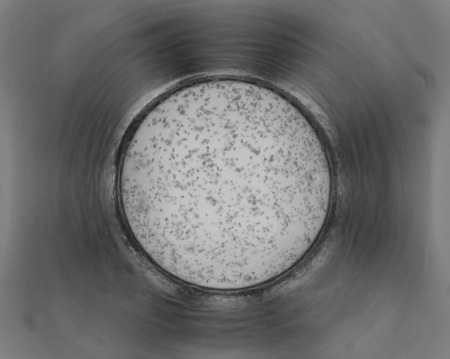 X0000111230933200907301243
