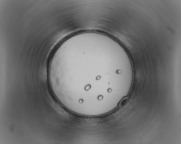 X0000111230934200907301243