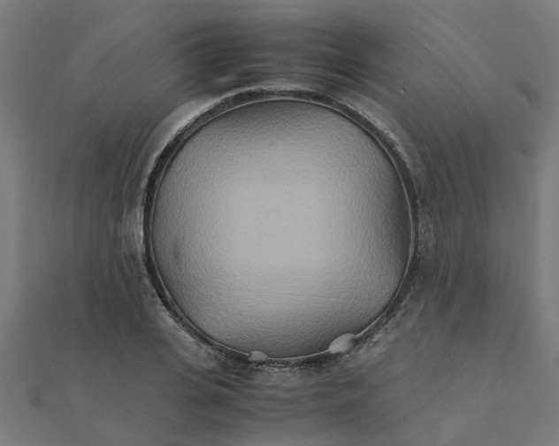 X0000111230935200907301243