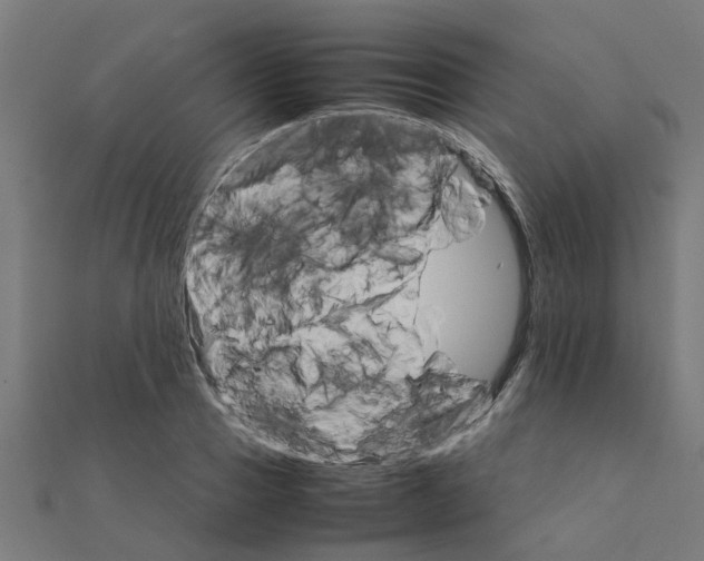 X0000111230937200907301243