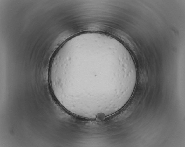 X0000111230938200907301243