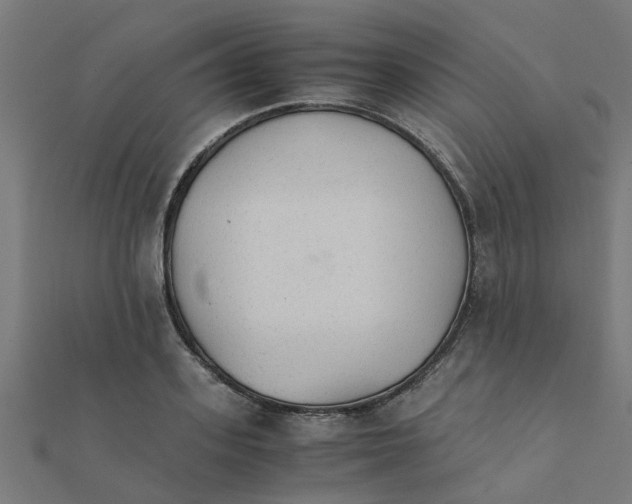 X0000111230939200907301243