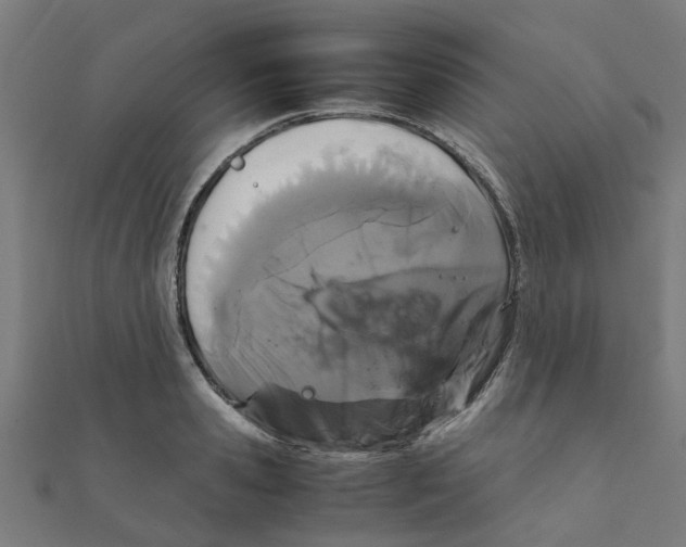 X0000111230941200907301243