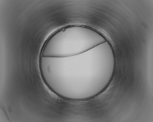 X0000111230942200907301243