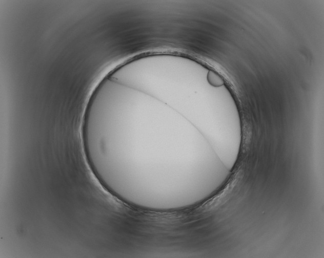 X0000111230943200907301243