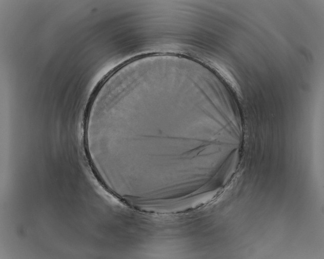 X0000111230944200907301243