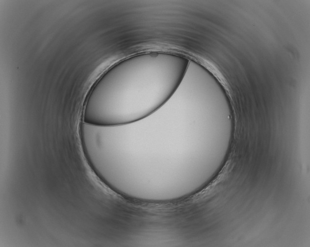 X0000111230946200907301243