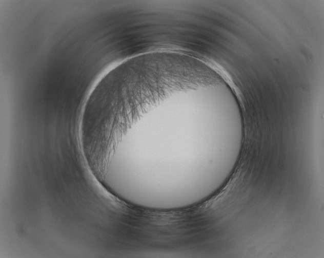 X0000111230947200907301243