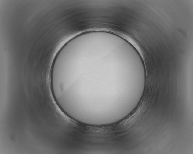X0000111230951200907301243