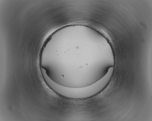 X0000111230952200907301243