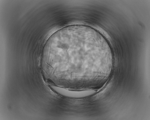 X0000111230953200907301243