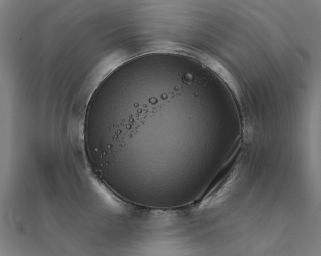 X0000111230954200907301243