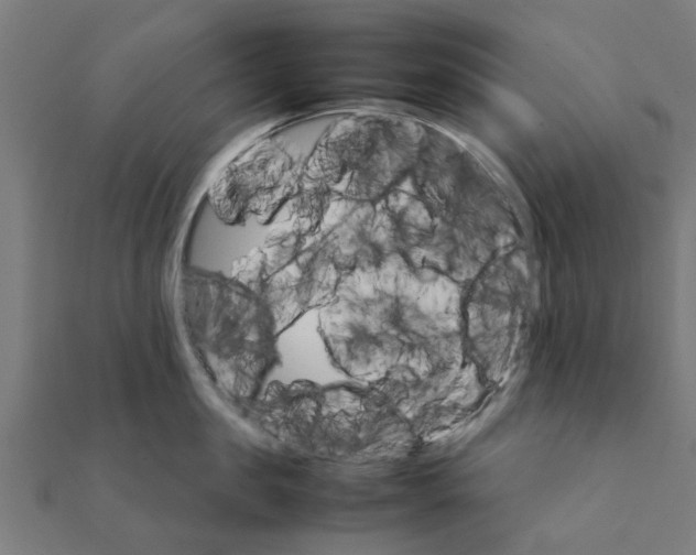 X0000111230957200907301243