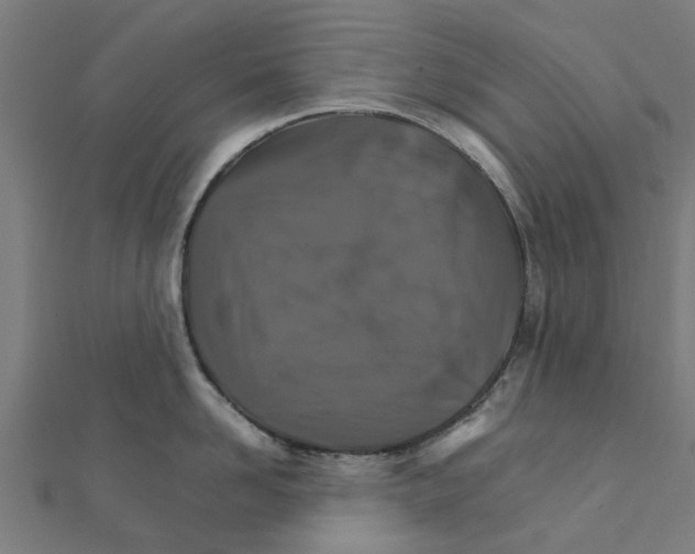 X0000111230958200907301243