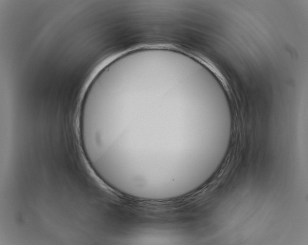 X0000111230959200907301243