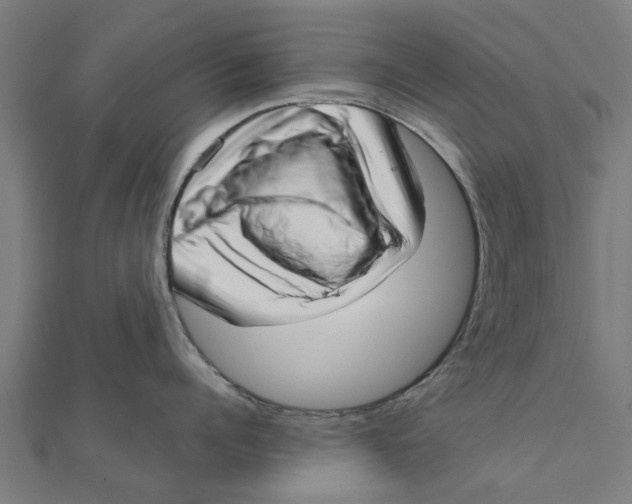 X0000111230960200907301243