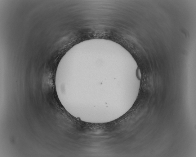X0000111230962200907301243