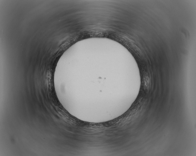 X0000111230964200907301243