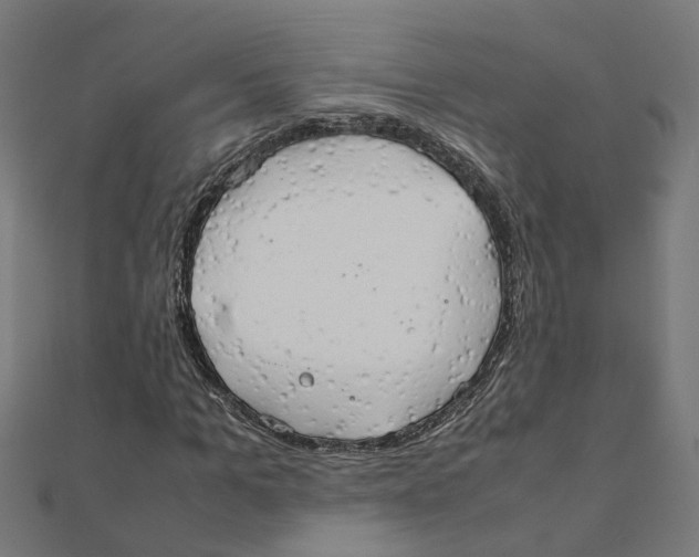 X0000111230965200907301243