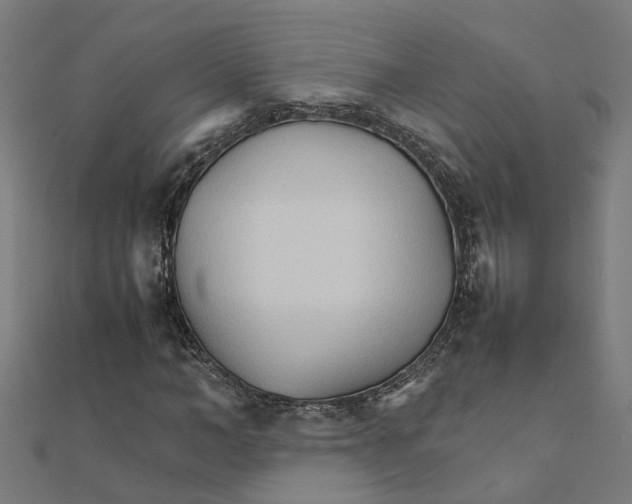 X0000111230966200907301243