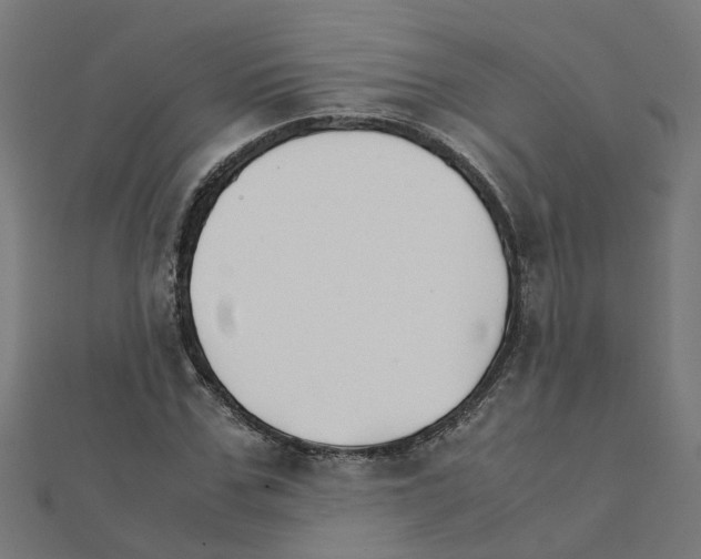 X0000111230971200907301243