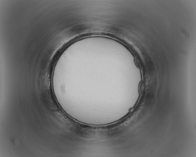 X0000111230973200907301242
