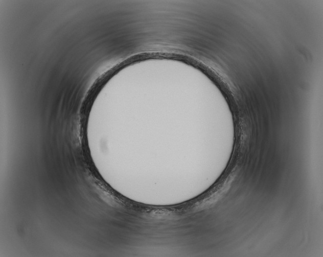 X0000111230974200907301242