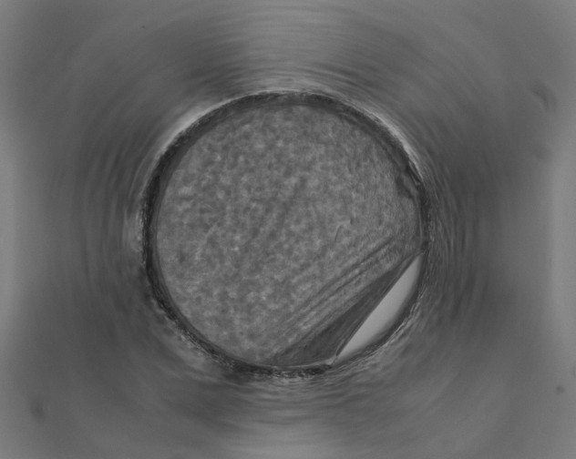X0000111230975200907301242