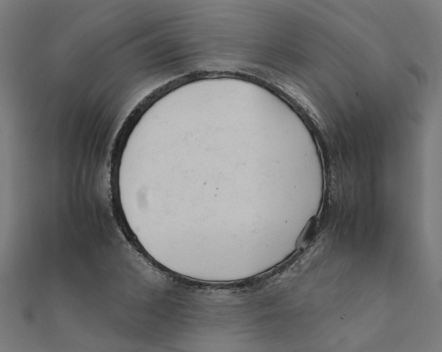 X0000111230976200907301242