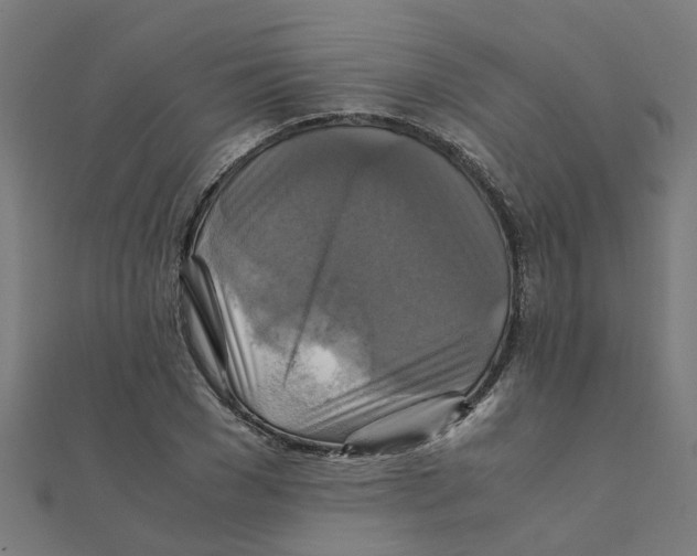 X0000111230977200907301242