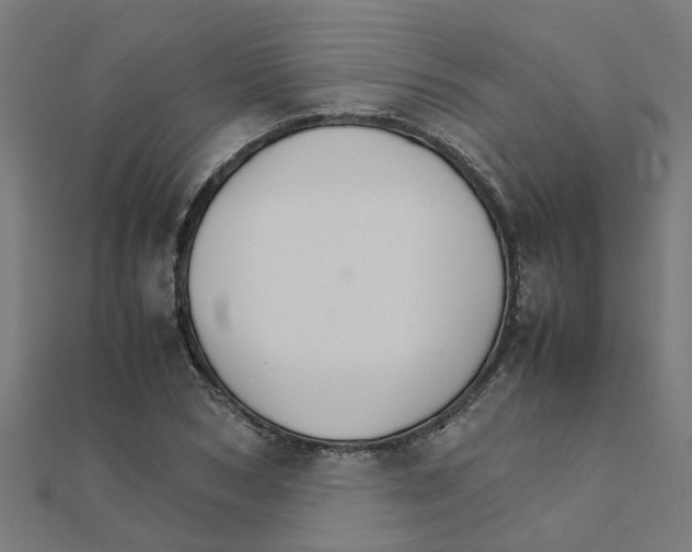 X0000111230978200907301242