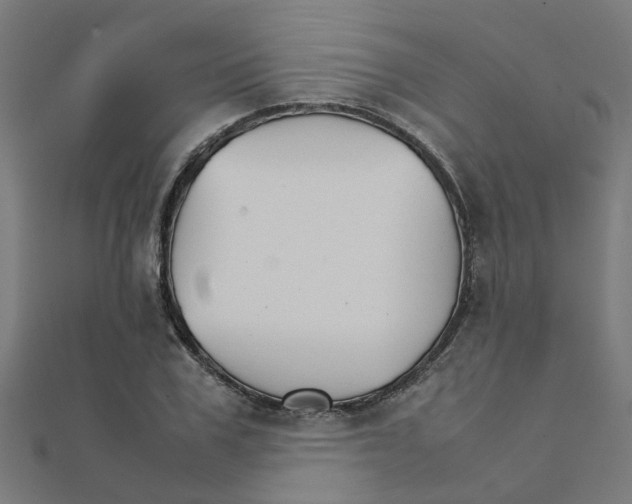 X0000111230979200907301242