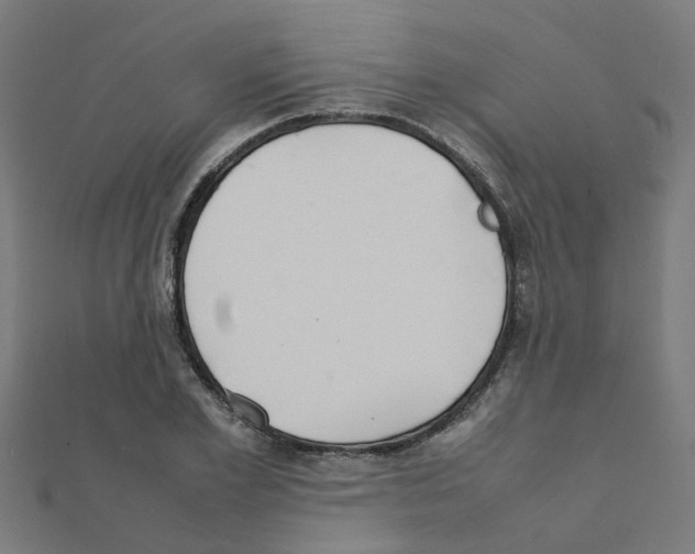 X0000111230981200907301242